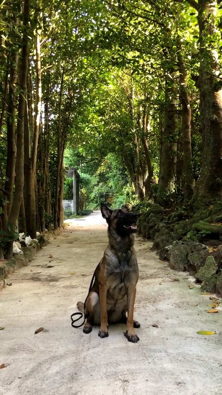 ユーザーデータ削除